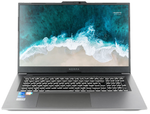 Ноутбук  Nerpa Caspica I552-17 17.3 ", Core i5, 8 Гб RAM, 256 Гб SSD, Iris Xe Graphics, Серый