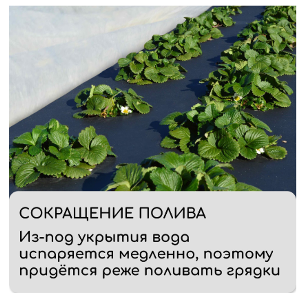 Материал мульчирующий, 5 × 1,6 м, плотность 80 г/м², спанбонд с УФ-стабилизатором, чёрный, Greengo,