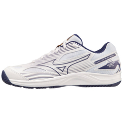 Кроссовки волейбольные мужские MIZUNO Cyclone Speed 4 V1GA238043, р.UK10.5 (рос.44), белый