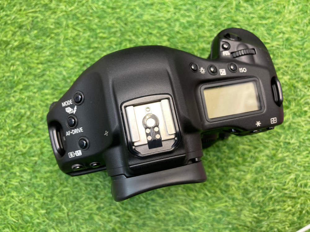 Canon EOS 1DS Mark III  300 кадров