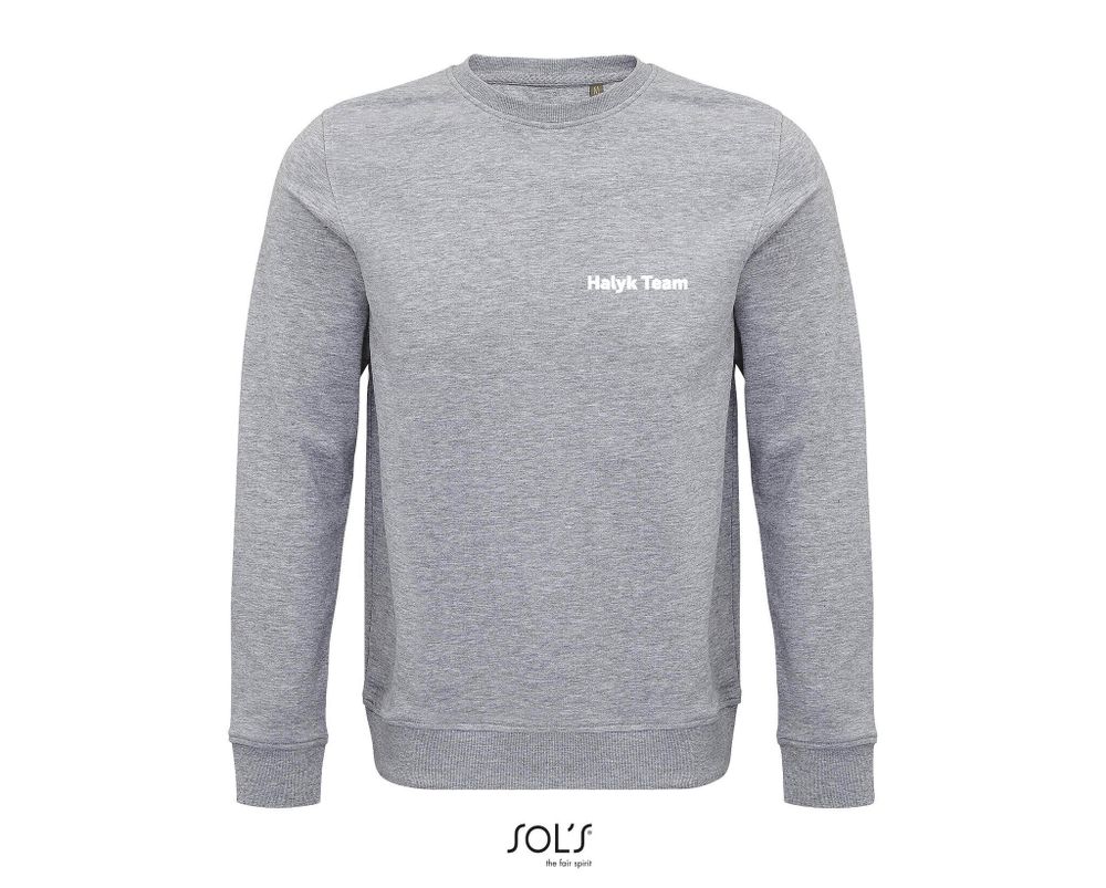 Свитшот Halyk Team COMET