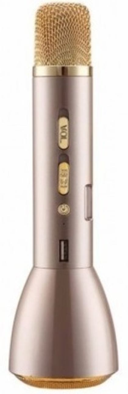 Беспроводной Bluetooth микрофон караоке  WT-K10 Gold