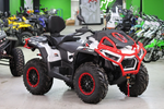 Квадроцикл BRC X-TERRA CT ATV 1000 Белый/красный (ПСМ)