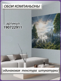 3D Фотообои утренний лес в тумане и небо