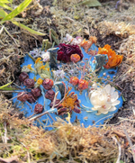 Земляная Свеча. Большая Синяя. Материализация. Эмоциональный интеллект. Глубина чувств и сновидений + ПОДАРОК