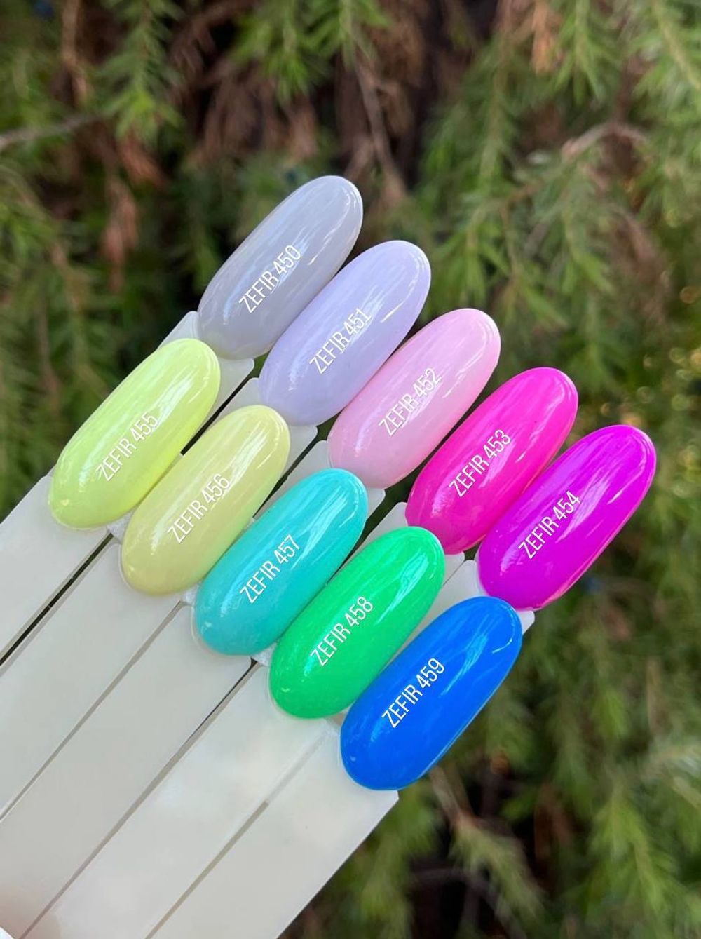 photo_5337175689612346773_y