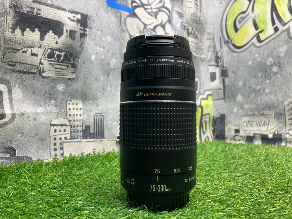 Canon EF 75-300mm 4-5.6 III USM