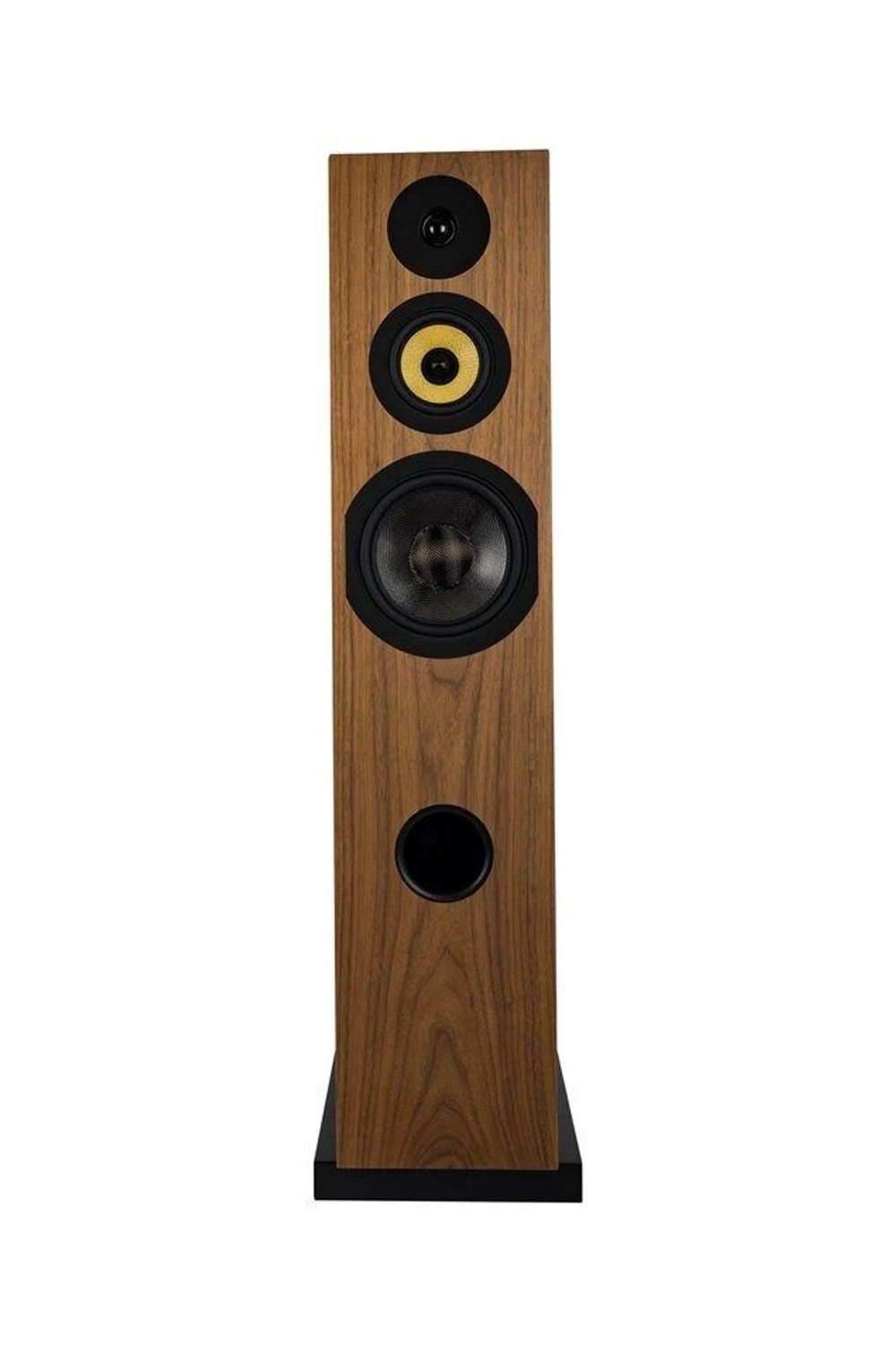 Напольная акустика Davis Acoustics Courbet 8