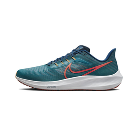 Мужские кроссовки Nike Air Zoom Pegasus 39 'Spruce Crimson' DH4071-302