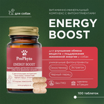 ProPhyto Энерджи Буст, 100 таблеток