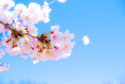 Практический Интенсив «Путь Физического Мастерства» Часть 29