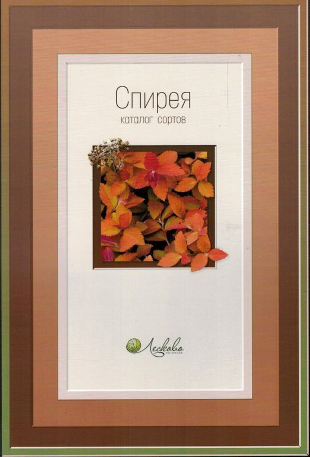 Каталог сортов спиреи (Лесково)