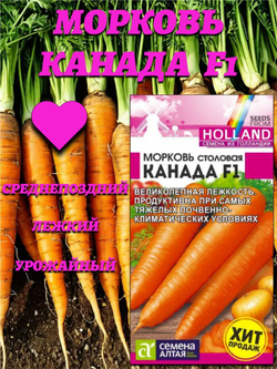Морковь Канада F1 (0,2 гр). Голландские Семена. Семена Алтая
