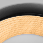 Потолочный светодиодный светильник Loft It Folk 10255/350 Black