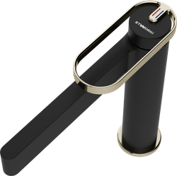 Смеситель для раковины STWORKI Малунг S11020BG матовый черный, глянцевое золото