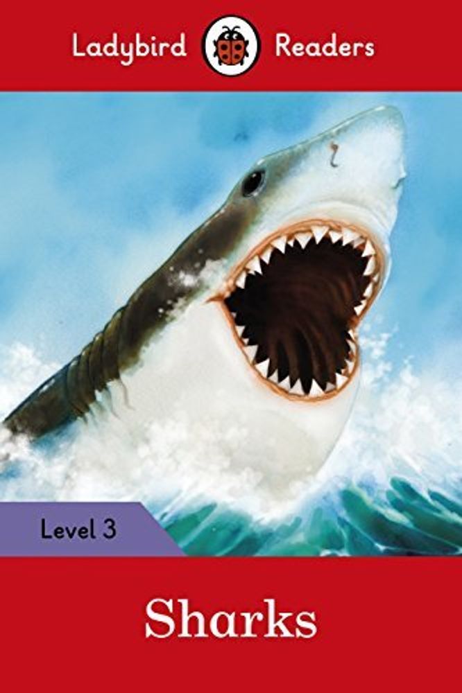 Sharks +downloadable audio