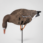 Белолобый гусь Duck Mania "ELITE"