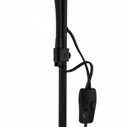 Торшер Arte Lamp A9569PN-2BK
