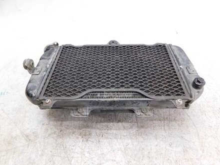 Радиатор Yamaha TDM850