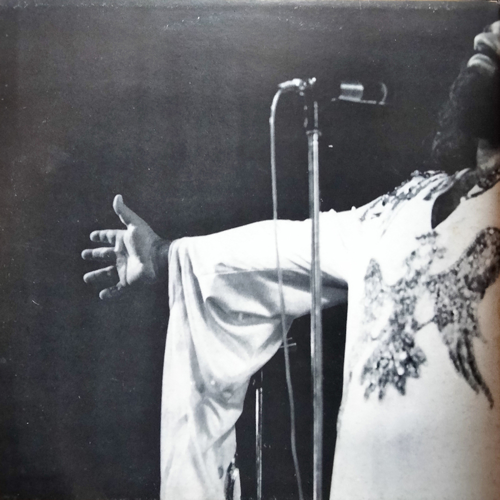 Demis Roussos / Album 2 Disques (2LP)