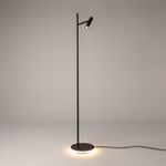 Напольный светильник (торшер) Maytoni Z010FL-L8B3K