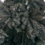 Искусственная елка «Императрица в черном» (Литая хвоя) от 1,2 м до 3 м