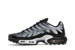 Кроссовки Nike Air Max Plus