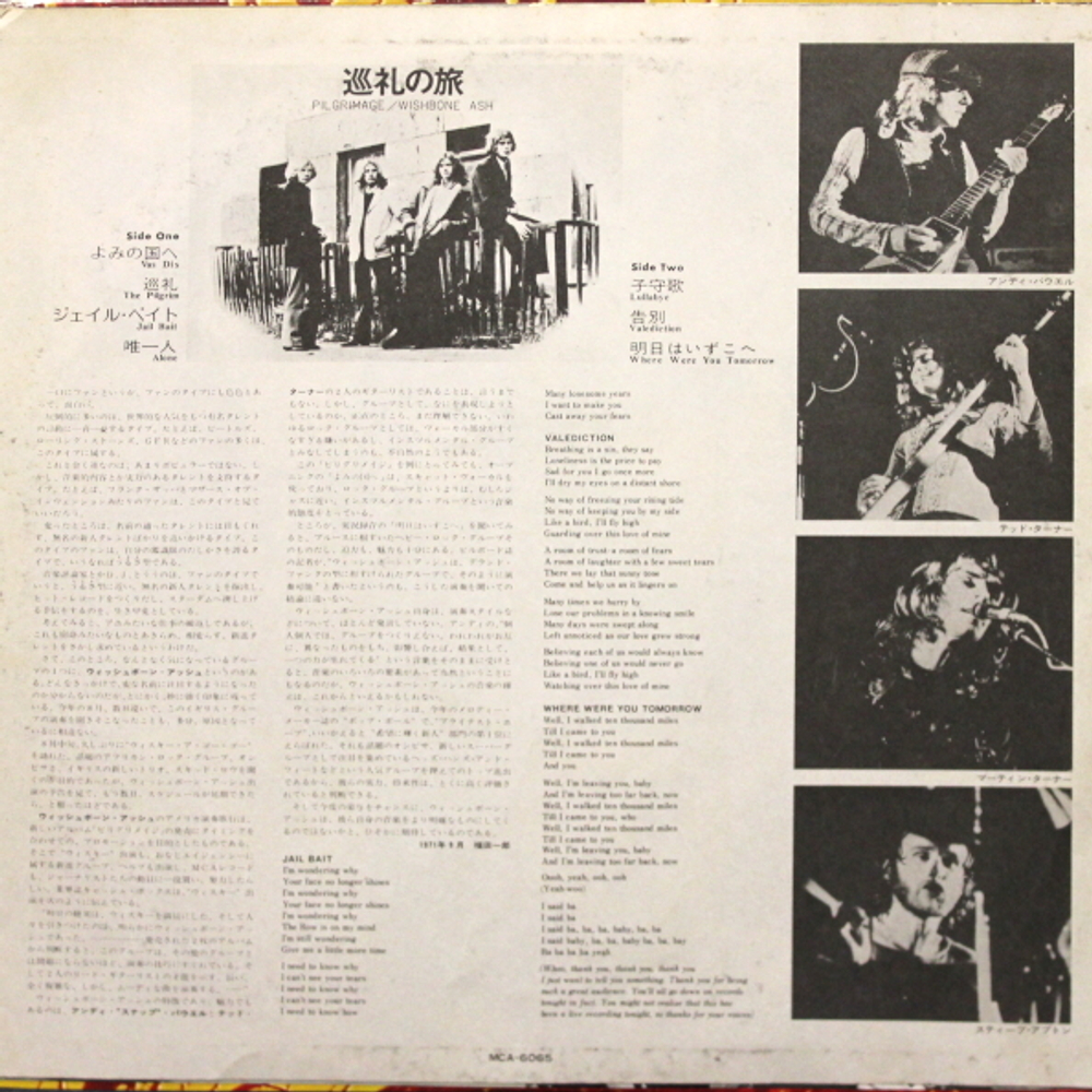 Wishbone Ash / Pilgrimage (LP)