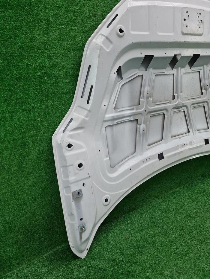 Капот Zeekr 001 (2021-н.в.)