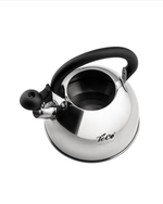 Чайник со свистком Teco TC-119 эконом
