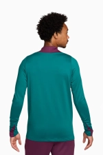 Кофта Nike PSG 24/25 Strike