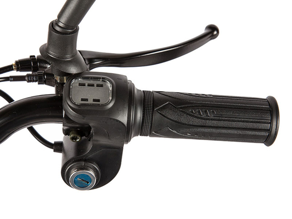 Электровелосипед Green City e-ALFA L с термобоксом