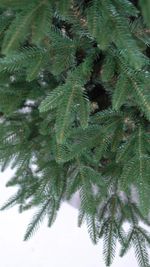 Ель искусственная «Смоленская» (Литая+пвх) от 1,2 м до 3,65 м