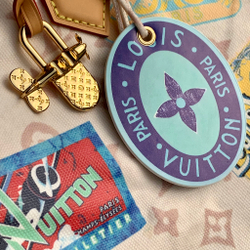 Louis Vuitton Speedy Soft 30