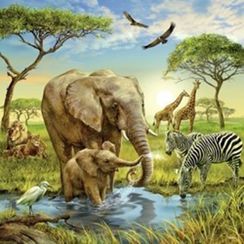 Puzzle Animals of the Earth 3x49 pcs