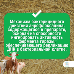 Энромаг 10%, антибактериальный раствор для инъекций, 100 мл. Энрофлоксацин.