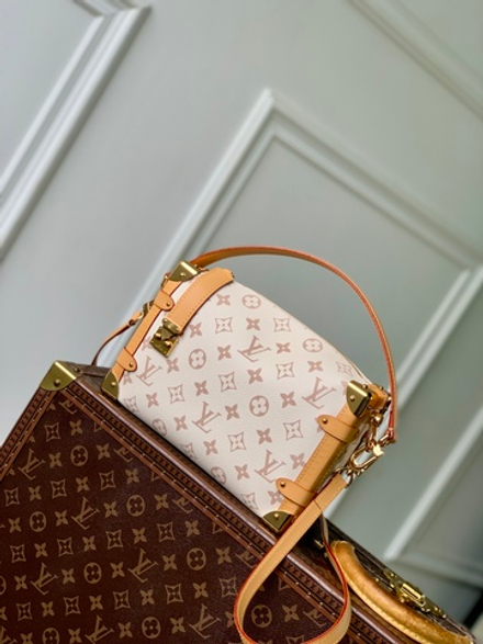 Louis Vuitton Side Trunk MM