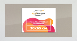 Рамка 30x65 для постера и фотографий