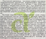 Гипсофила Изящная смесь 0,2 г СМЦ-965