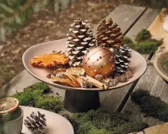 Шишка натуральная заснеженная Лесной шик 15*15 см., 3 шт., Kaemingk (707396)