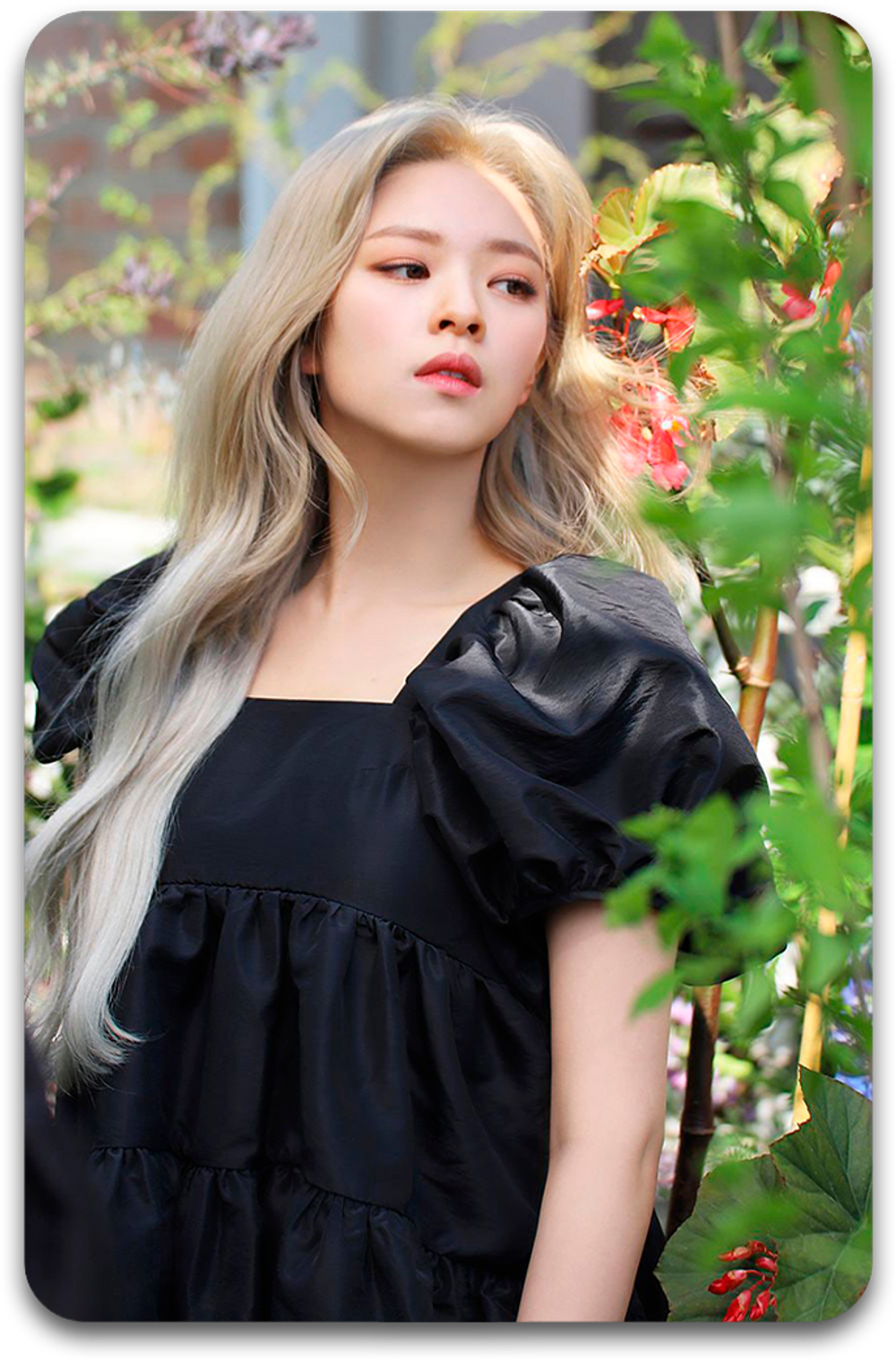 Карта #4060 / Jeongyeon (TWICE)