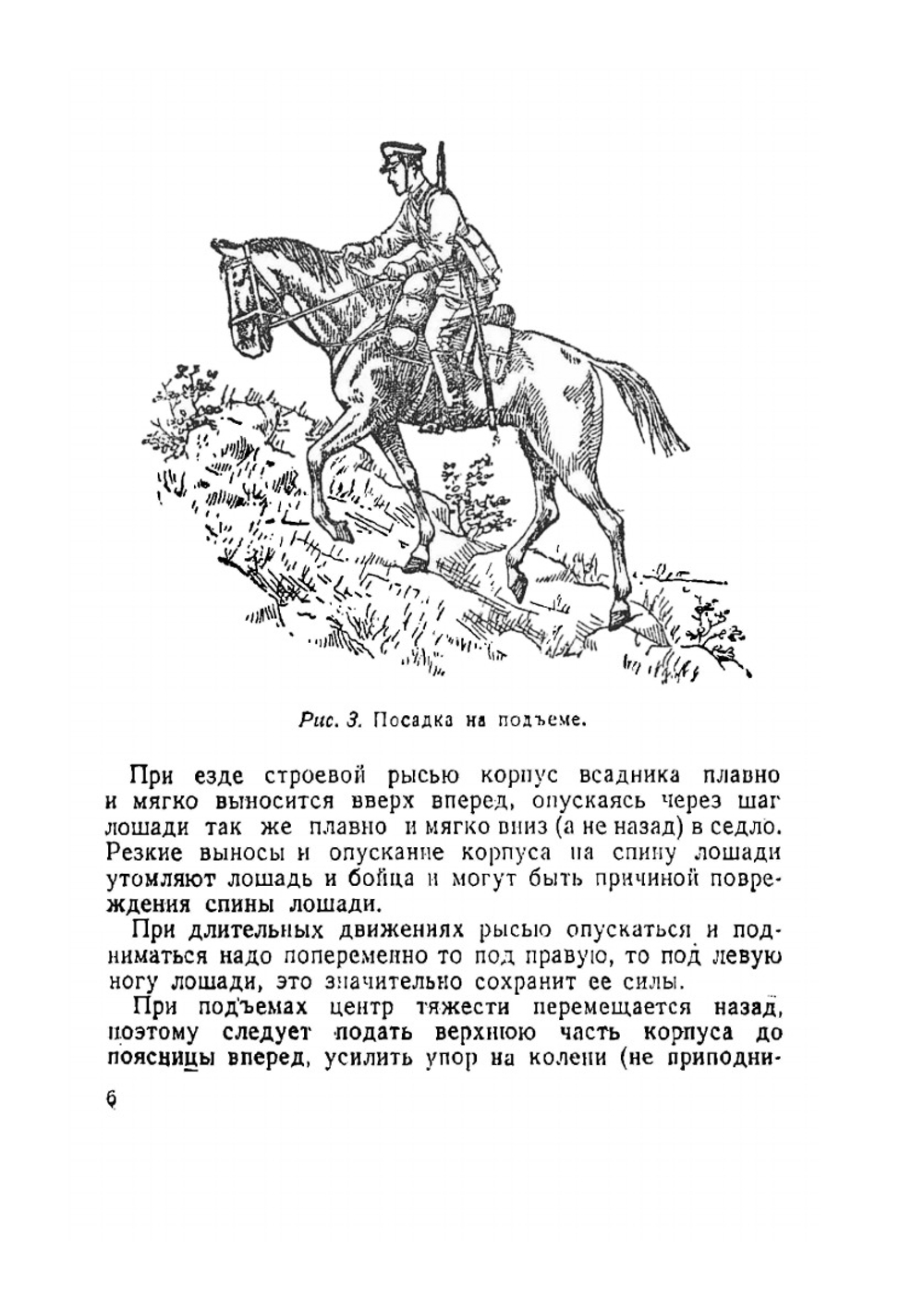 Уход за лошадью на походе | С.Н. Кревер