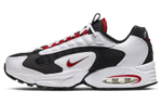 Кроссовки Nike Air Max Triax 96 (Женская размерная сетка)