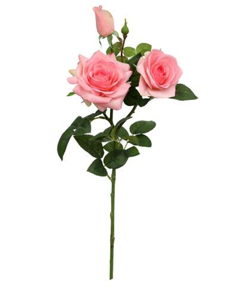 Роза Гранд 3+1 - Розовый