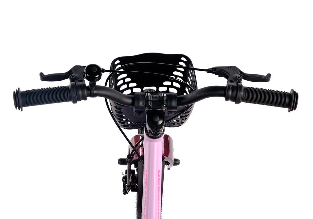 Maxiscoo JAZZ Pro 14'' (2025)