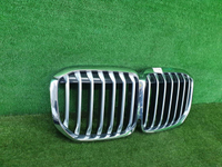 Решетка радиатора BMW X7 G07 (2019-2022)