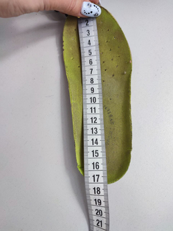 Кроссовки Ascot повседневные 27 размер