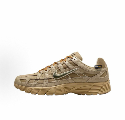 Nike P-6000 Premium Cordura