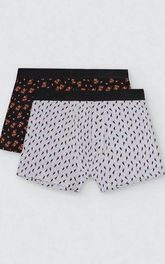 20392 Облегающие боксеры 2 шт. в упаковке