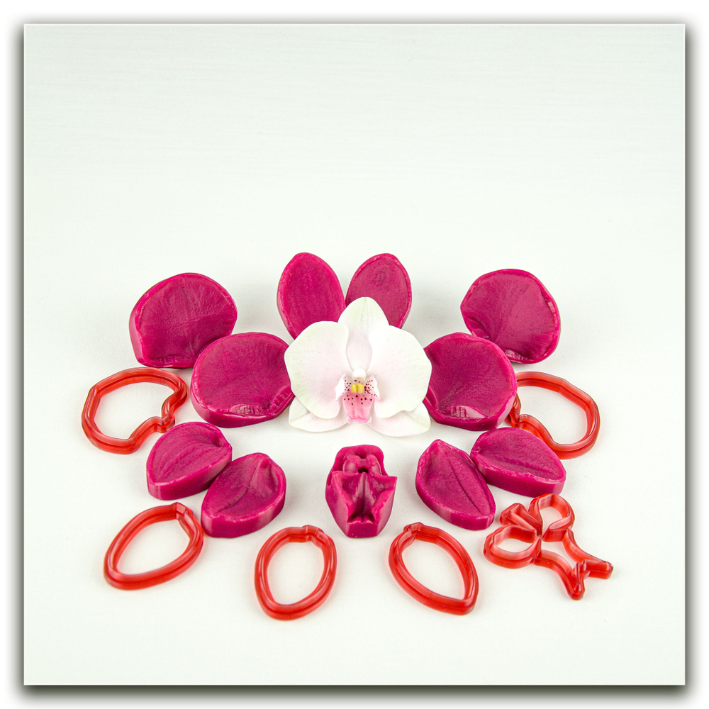 Орхидея фаленопсис L